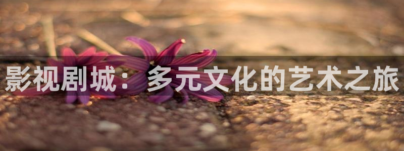 男同羞羞影院：影视剧城：多元文化的艺术之旅