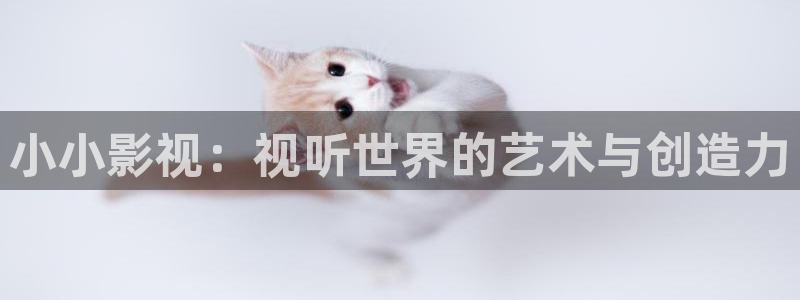 在线观看羞羞影院