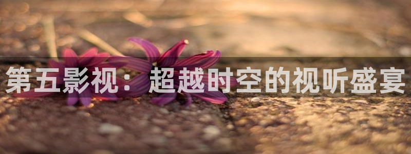 男同羞羞影院：第五影视：超越时空的视听盛宴