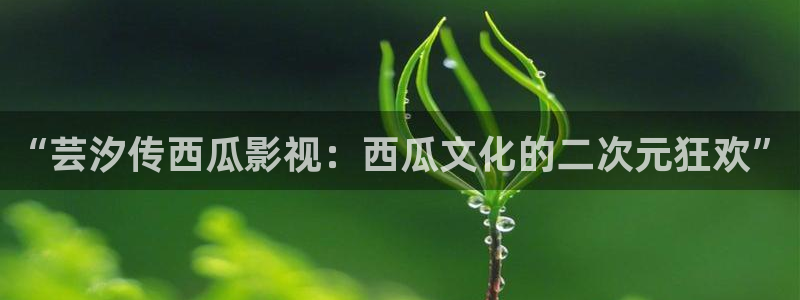 羞羞影院免费在线观看：“芸汐传西瓜影视：西瓜文化的二次元狂欢”